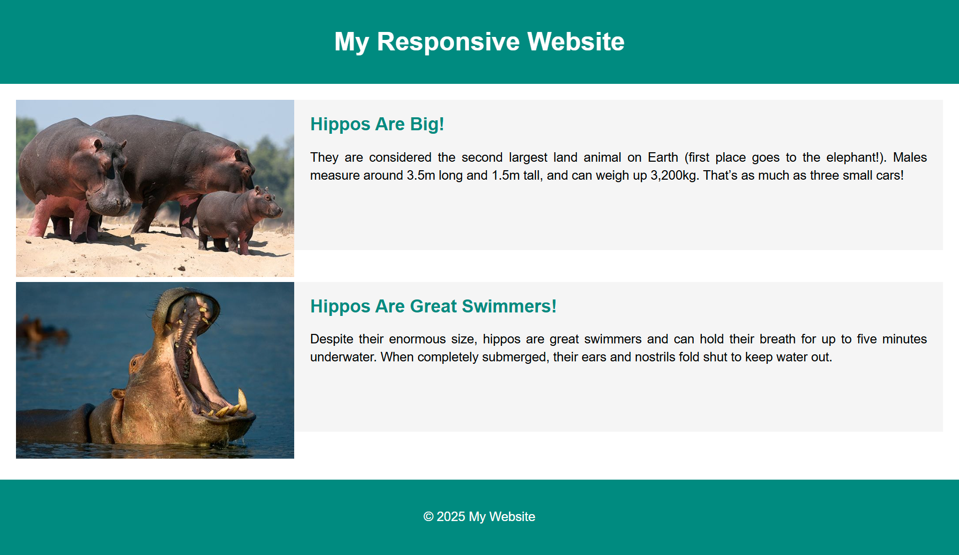 CSS Grid with 2 columns across
